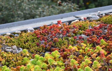 the cost of Keld green roof installation